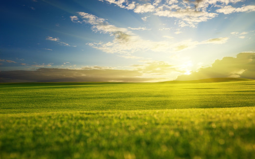 1449913 (a): :2560x1600